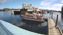 ./images/quadra/hbidock/20220617/hbidock20220617_085000M.jpg