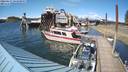 ./images/quadra/hbidock/20220617/hbidock20220617_163500M.jpg