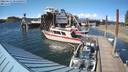 ./images/quadra/hbidock/20220617/hbidock20220617_171000M.jpg