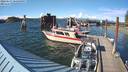 ./images/quadra/hbidock/20220617/hbidock20220617_180500M.jpg