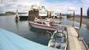./images/quadra/hbidock/20220618/hbidock20220618_124500M.jpg