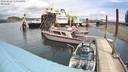 ./images/quadra/hbidock/20220618/hbidock20220618_130500M.jpg