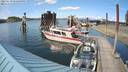 ./images/quadra/hbidock/20220619/hbidock20220619_171500M.jpg