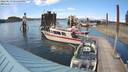 ./images/quadra/hbidock/20220619/hbidock20220619_172500M.jpg