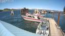 ./images/quadra/hbidock/20220622/hbidock20220622_145000M.jpg