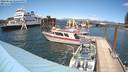 ./images/quadra/hbidock/20220622/hbidock20220622_145500M.jpg