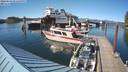 ./images/quadra/hbidock/20220623/hbidock20220623_171500M.jpg