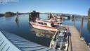 ./images/quadra/hbidock/20220623/hbidock20220623_172500M.jpg