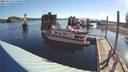./images/quadra/hbidock/20220624/hbidock20220624_074500M.jpg
