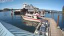 ./images/quadra/hbidock/20220624/hbidock20220624_165500M.jpg