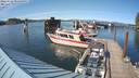 ./images/quadra/hbidock/20220624/hbidock20220624_172000M.jpg