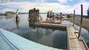 ./images/quadra/hbidock/20220627/hbidock20220627_100500M.jpg