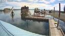 ./images/quadra/hbidock/20220627/hbidock20220627_101000M.jpg