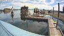 ./images/quadra/hbidock/20220627/hbidock20220627_101500M.jpg