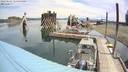 ./images/quadra/hbidock/20220627/hbidock20220627_114500M.jpg