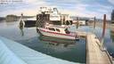 ./images/quadra/hbidock/20220627/hbidock20220627_144500M.jpg