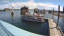 ./images/quadra/hbidock/20220628/hbidock20220628_095000M.jpg