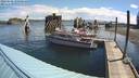 ./images/quadra/hbidock/20220628/hbidock20220628_100000M.jpg