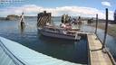 ./images/quadra/hbidock/20220628/hbidock20220628_100500M.jpg