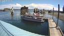 ./images/quadra/hbidock/20220628/hbidock20220628_101500M.jpg