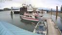 ./images/quadra/hbidock/20220628/hbidock20220628_144500M.jpg