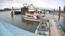 ./images/quadra/hbidock/20220628/hbidock20220628_145500M.jpg