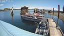 ./images/quadra/hbidock/20220701/hbidock20220701_113000M.jpg