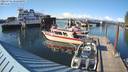 ./images/quadra/hbidock/20220701/hbidock20220701_182500M.jpg