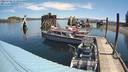 ./images/quadra/hbidock/20220702/hbidock20220702_113000M.jpg