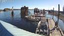 ./images/quadra/hbidock/20220722/hbidock20220722_080000M.jpg