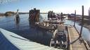 ./images/quadra/hbidock/20220723/hbidock20220723_074500M.jpg