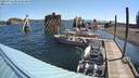./images/quadra/hbidock/20220723/hbidock20220723_095000M.jpg