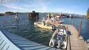 ./images/quadra/hbidock/20220723/hbidock20220723_173500M.jpg