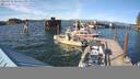 ./images/quadra/hbidock/20220723/hbidock20220723_174500M.jpg