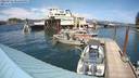 ./images/quadra/hbidock/20220724/hbidock20220724_151500M.jpg