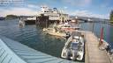 ./images/quadra/hbidock/20220724/hbidock20220724_165500M.jpg