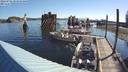 ./images/quadra/hbidock/20220725/hbidock20220725_082000M.jpg