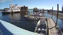 ./images/quadra/hbidock/20220725/hbidock20220725_083000M.jpg