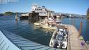 ./images/quadra/hbidock/20220725/hbidock20220725_165500M.jpg