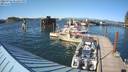 ./images/quadra/hbidock/20220725/hbidock20220725_171500M.jpg