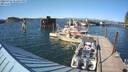 ./images/quadra/hbidock/20220725/hbidock20220725_172000M.jpg
