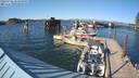 ./images/quadra/hbidock/20220725/hbidock20220725_174000M.jpg