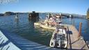 ./images/quadra/hbidock/20220725/hbidock20220725_180501M.jpg