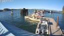 ./images/quadra/hbidock/20220725/hbidock20220725_181500M.jpg