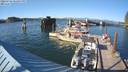 ./images/quadra/hbidock/20220725/hbidock20220725_182000M.jpg