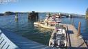 ./images/quadra/hbidock/20220725/hbidock20220725_182500M.jpg