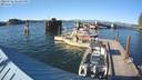 ./images/quadra/hbidock/20220725/hbidock20220725_183500M.jpg