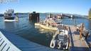 ./images/quadra/hbidock/20220725/hbidock20220725_185500M.jpg