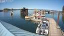 ./images/quadra/hbidock/20220726/hbidock20220726_160500M.jpg