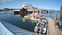 ./images/quadra/hbidock/20220726/hbidock20220726_165500M.jpg